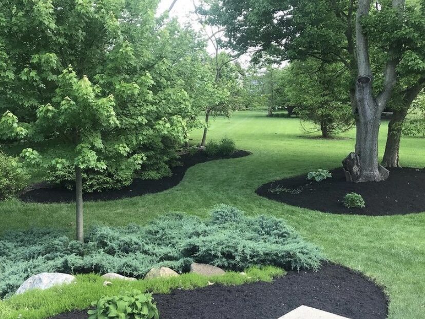 Three Well Maintained Landscape Beds filled with black mulch and green plants