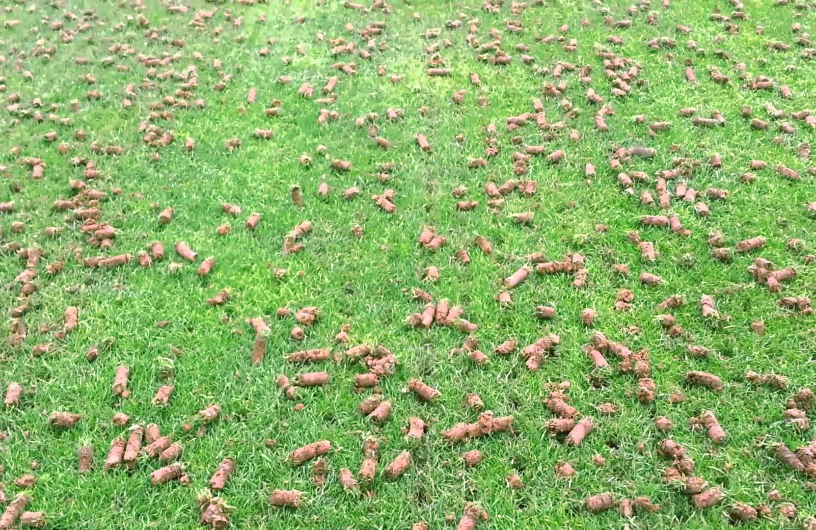 Core aeration is important for a lawn with strong roots and resilient.